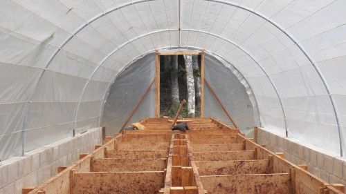 Interior Fermentadora de Cacao