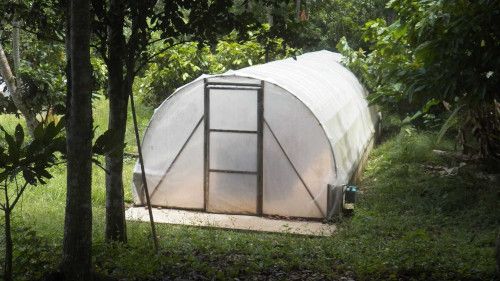 Fermentadora de Cacao